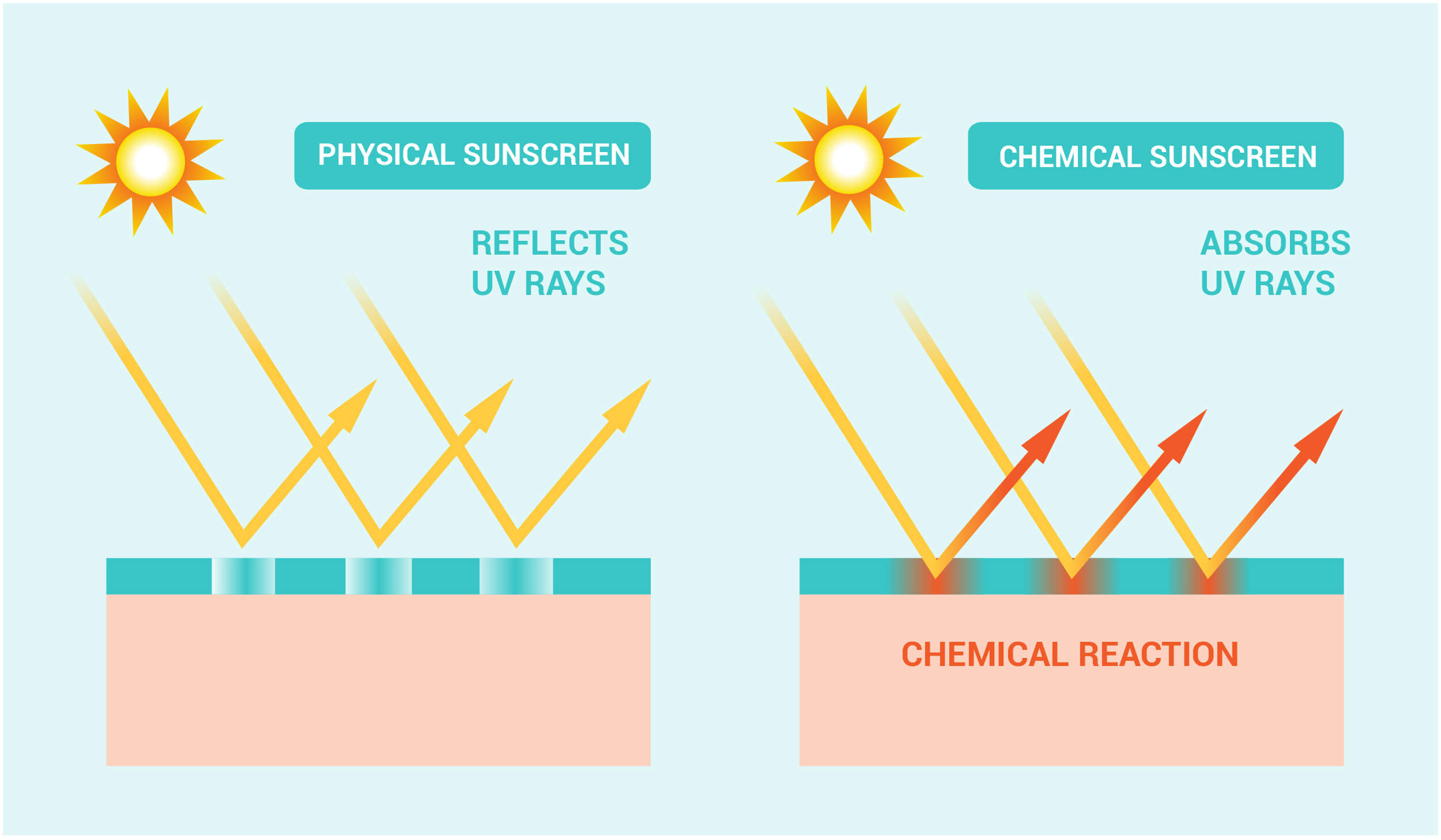 Mineral Vs Chemical sunscreen diagram